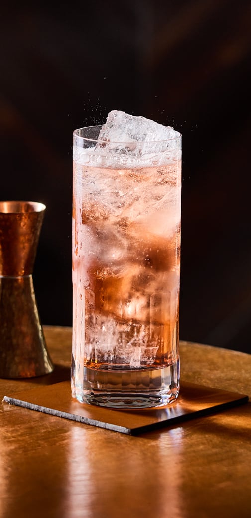 Bitter Plum Highball